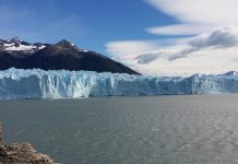 Patagônia Argentina: descubra 5 destinos imperdíveis! El Calafate - foto crédito Moonykim em Pixabay