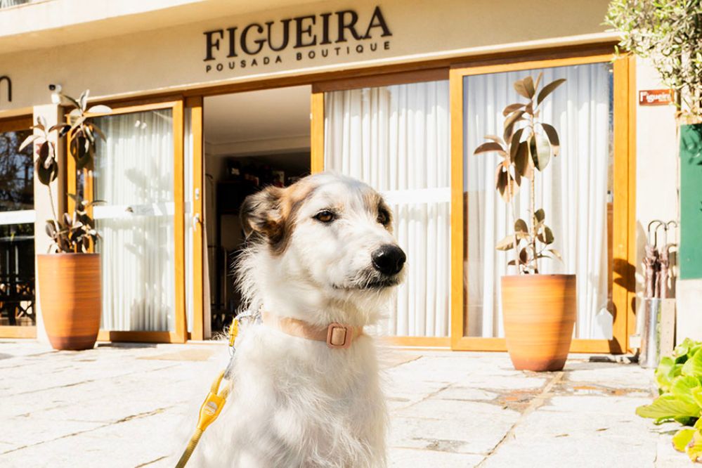 Pousada Boutique Figueira da Serra - Campos do Jordão -- São Paulo