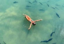 Villa Triacca Eco Pousada: uma pousada com vinícola em Brasília Villa Triacca Eco Pousada - foto divulgação