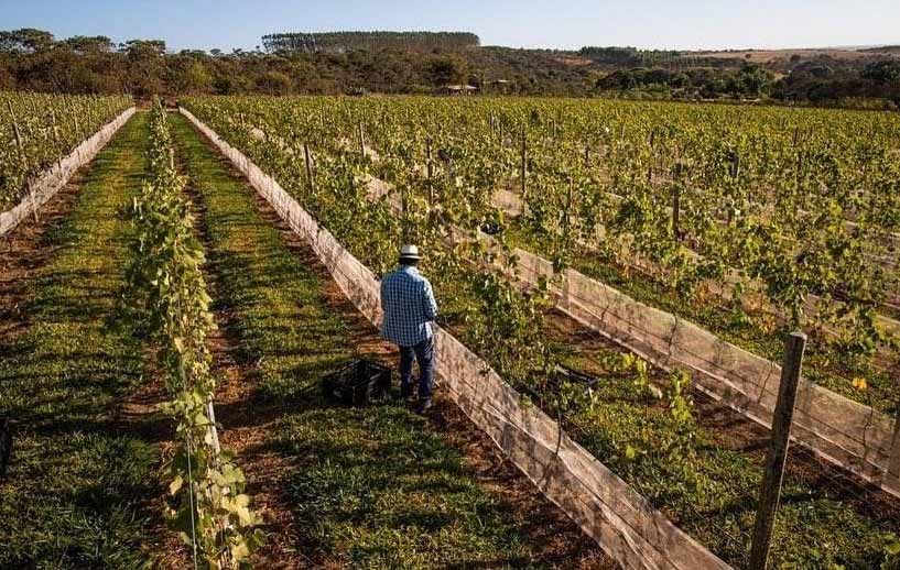 Villa Triacca Eco Pousada - foto divulgação