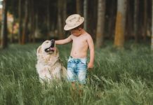 Hotéis Pet Friendly em Minas Gerais – Viaje com seu Pet Hotéis Pet Friendly em Minas Gerais - Imagem de Tony Minguillon por Pixabay