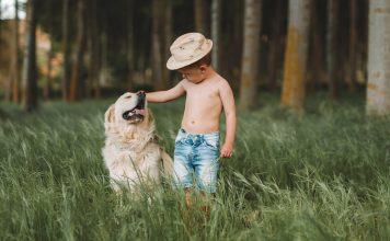 Hotéis Pet Friendly em Minas Gerais – Viaje com seu Pet Hotéis Pet Friendly em Minas Gerais - Imagem de Tony Minguillon por Pixabay