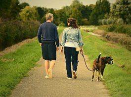 Hotéis Pet Friendly no Paraná – imagem de Mabel Amber por Pixabay