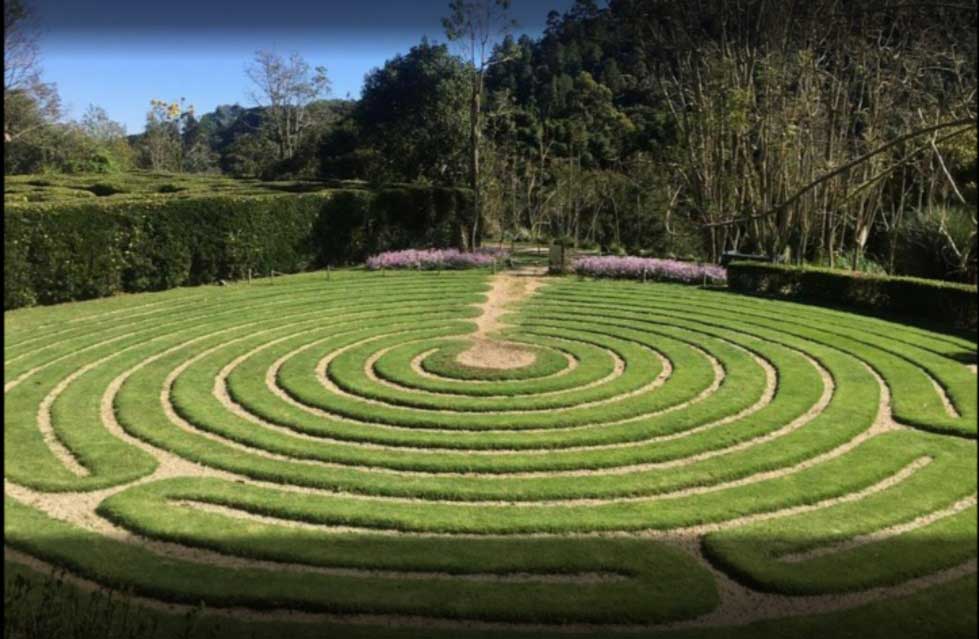 Labirinto vivo no Parque Amantikir - foto divulgação 