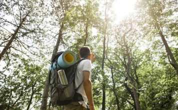 Mala de viagem para Bonito – O que Levar para Bonito? O que levar para Bonito - foto Freepik