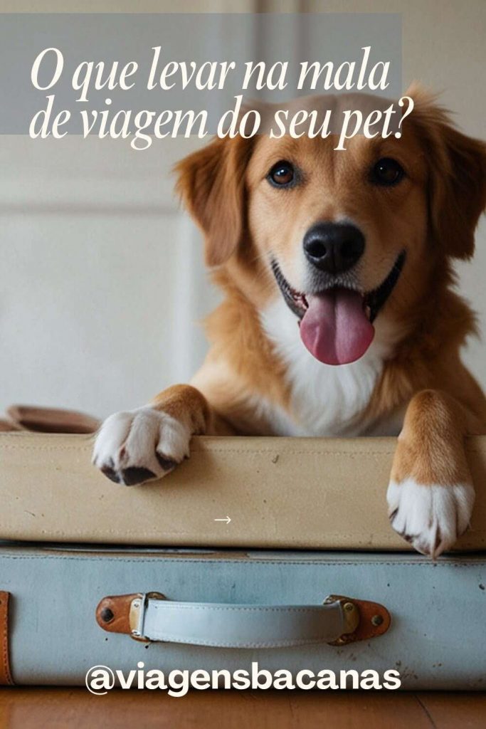 Mala do Pet - Viagens Bacanas