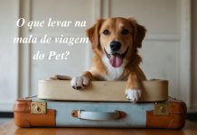 Mala do Pet – Itens Essenciais para Não Esquecer na sua Viagem com Pet Mala do Pet - Viagens Bacanas