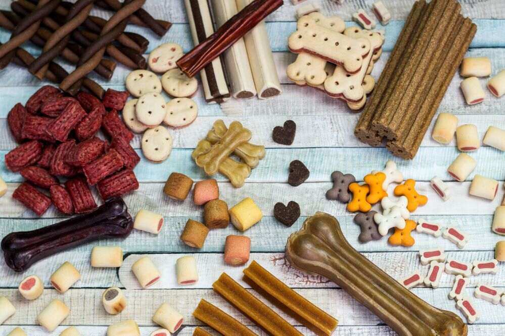 Petiscos para Pets - Viagens Bacanas