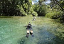 Guia Completo de Viagem para Bonito Mato Grosso do Sul Bonito - Mato Grosso do Sul - Viagens Bacanas