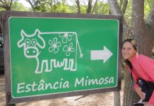 Estância Mimosa em Bonito: 8 cachoeiras num só passeio Estância Mimosa em Bonito - foto Viagens Bacanas