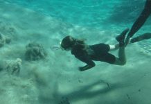 Flutuação em Bonito: Uma Aventura Inesquecível pelas Águas Cristalinas de Bonito Flutuação em Bonito -Rio da Prata - Viagens Bacanas