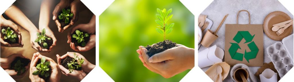 Sustentabilidade