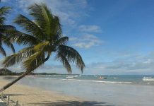 Melhores Resorts All Inclusive em Alagoas com Piscinas Naturais Melhores Resorts All Inclusive em Alagoas - foto Pixabay