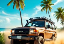 Como Chegar em Algodões? Um Roteiro Prático e Rápido Como chegar em Algodões - IA