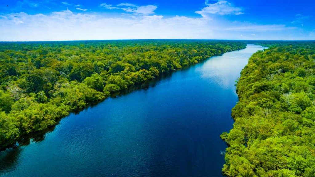 Floresta Amazônica - Viagens Bacanas
