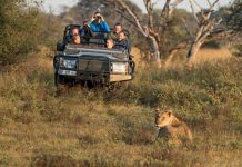Marataba Mountain Lodge na África do Sul: uma experiência de safári única e luxuosa Marataba Mountain Lodge - África do Sul - foto Booking.com