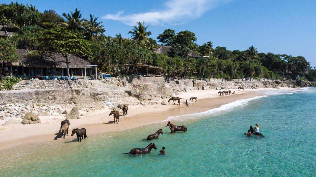 Resort NIHI Sumba - foto Booking.com