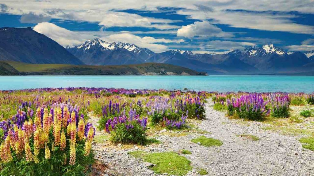 Lago Tekapo - foto Canva