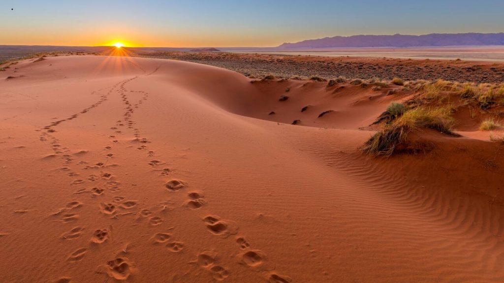 Deserto do Kalahari - África do Sul