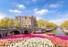 Cruzeiro Fluvial das Tulipas, na Holanda e Bélgica! 7 noites Cruzeiro Fluvial das Tulipas, na Holanda e Bélgica