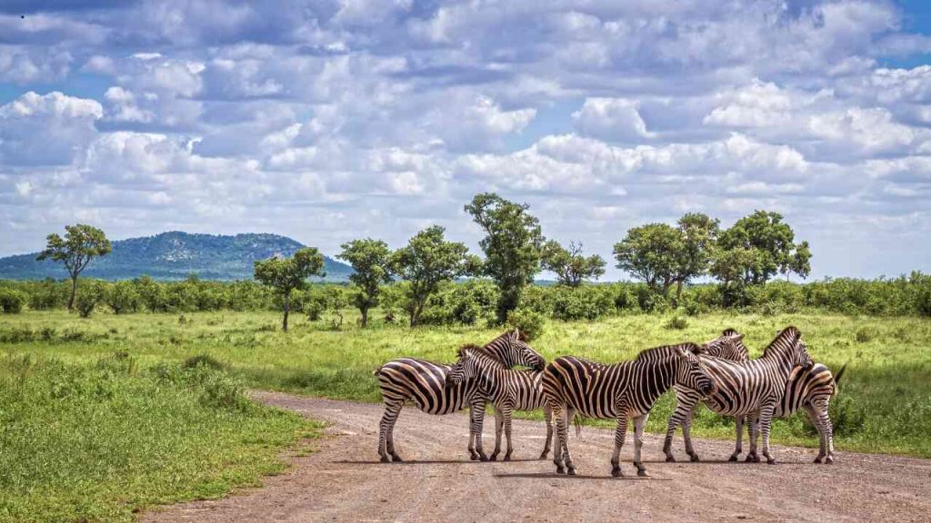 Pacote de viagem África do Sul - ia 