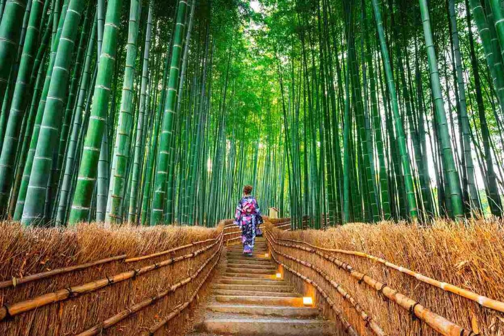 Arashiyama Bamboo Grove - foto Civitatis