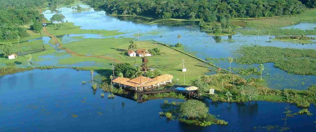 Caiman - Pantanal - foto divulgação
