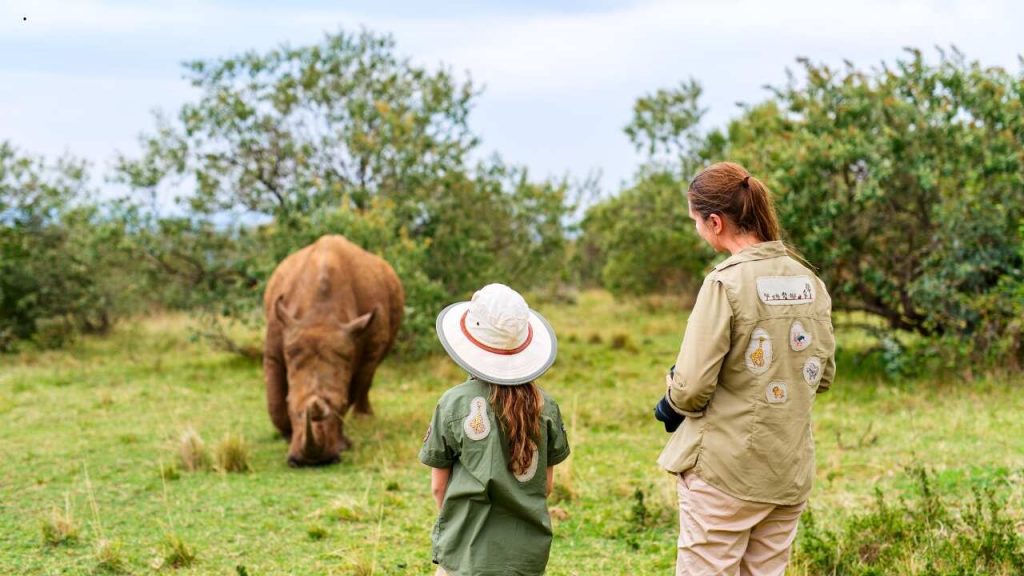 Hotéis para ver Animais Selvagens Mundo - foto Canva