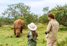 6 Hotéis para ver Animais Selvagens: Fique cara a cara os Animais! Hotéis para ver Animais Selvagens Mundo - foto Canva