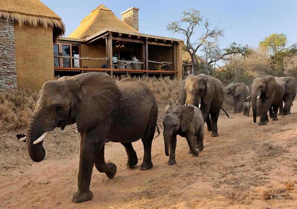 Jabulani (Hoedspruit, Greater Kruger Park) - foto Booking