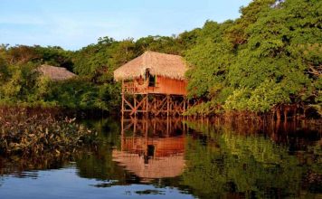 Juma Lodge: Sua Experiência Única no Coração da Amazônia Juma Lodge Amazônia - foto Booking