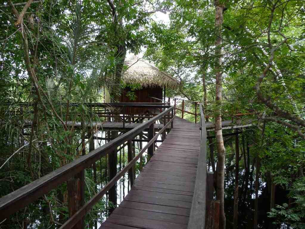 Juma Lodge Amazônia - foto Booking