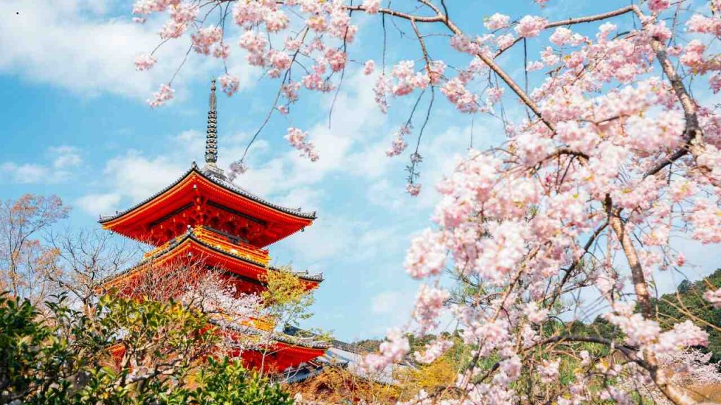 Quioto - Japão - foto Canva