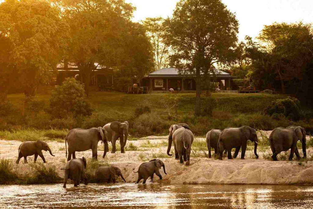 MalaMala Game Reserve - foto Booking
