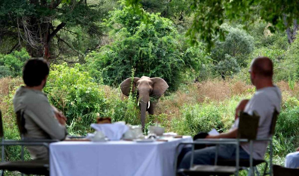 Singita Kruger National Park 
