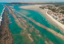 Barra de São Miguel: Um Paraíso em Alagoas Barra de São Miguel - Alagoas - foto Canva