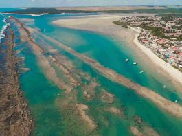 Barra de São Miguel: Um Paraíso em Alagoas Barra de São Miguel - Alagoas - foto Canva