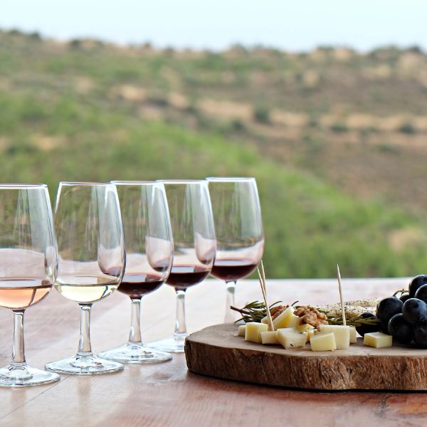 Women Wine Tour - Atacama