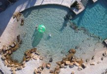 Samoa Villa Resort: Um Refúgio com Piscina de Areia em Porto de Galinhas Samoa Villa Resort - foto Booking