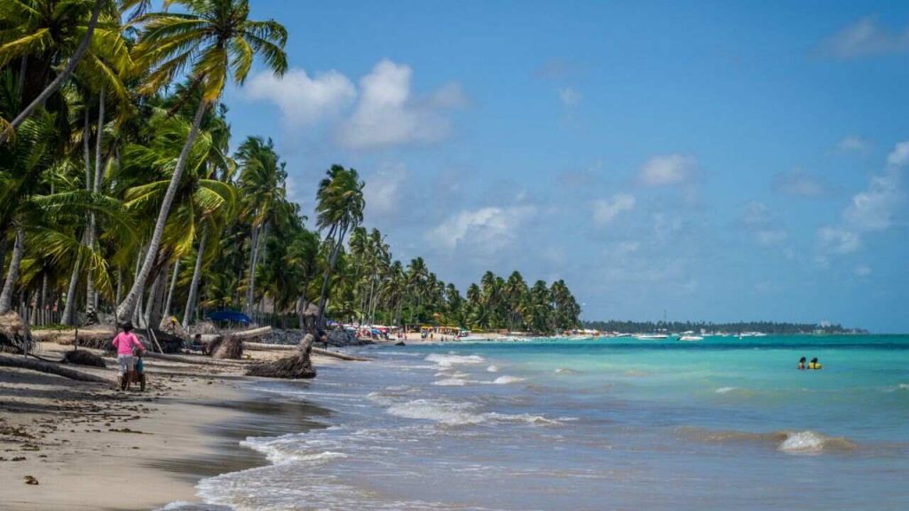 Litoral de Alagoas: Lagoas, Falésias, Dunas e Piscinas Naturais 1 Litoral de Alagoas -Brasil
