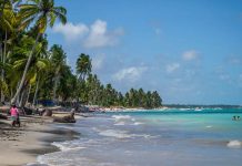 Litoral de Alagoas: Lagoas, Falésias, Dunas e Piscinas Naturais Litoral de Alagoas -Brasil