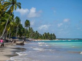 Litoral de Alagoas: Lagoas, Falésias, Dunas e Piscinas Naturais Litoral de Alagoas -Brasil
