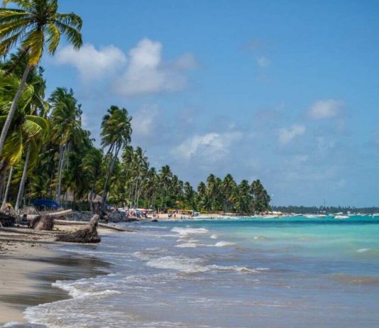 Litoral de Alagoas: Lagoas, Falésias, Dunas e Piscinas Naturais Litoral de Alagoas -Brasil