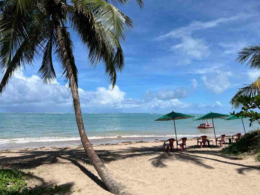 Praia do Patacho: Delícia de Praia com Piscinas Naturais 1 Praia do Patacho Alagoas - foto Viagens Bacanas