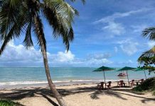 Praia do Patacho: Delícia de Praia com Piscinas Naturais Praia do Patacho Alagoas - foto Viagens Bacanas