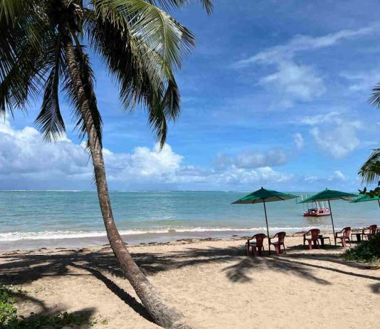 Praia do Patacho: Delícia de Praia com Piscinas Naturais Praia do Patacho Alagoas - foto Viagens Bacanas