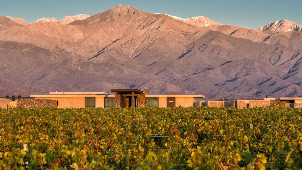 The Vines Resort & Spa: Luxo e Vinho em Mendoza 2 The Vines Resort Spa Mendoza - foto Booking