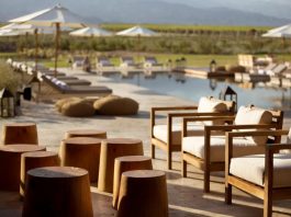 The Vines Resort & Spa: Luxo e Vinho em Mendoza The Vines Resort Spa Mendoza - foto Booking
