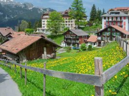 Guia de Wengen: O Charmoso Vilarejo dos Alpes Suíços Wengen - Suíça - imagem Canva